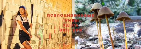 первитин Покачи