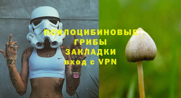 ешки Алексеевка