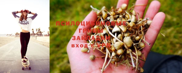 ешки Алексеевка